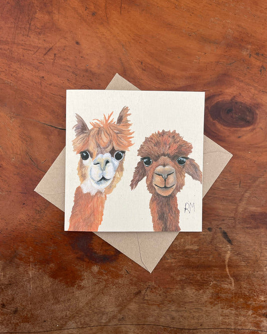 Alpacas Greetings Card
