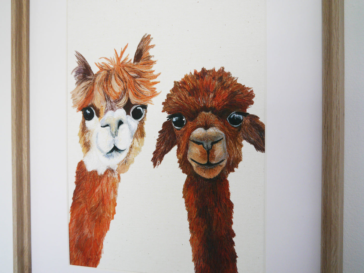 Alpacas Art Print