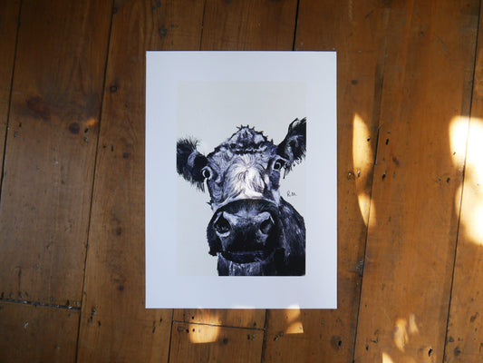 Cow Art Print