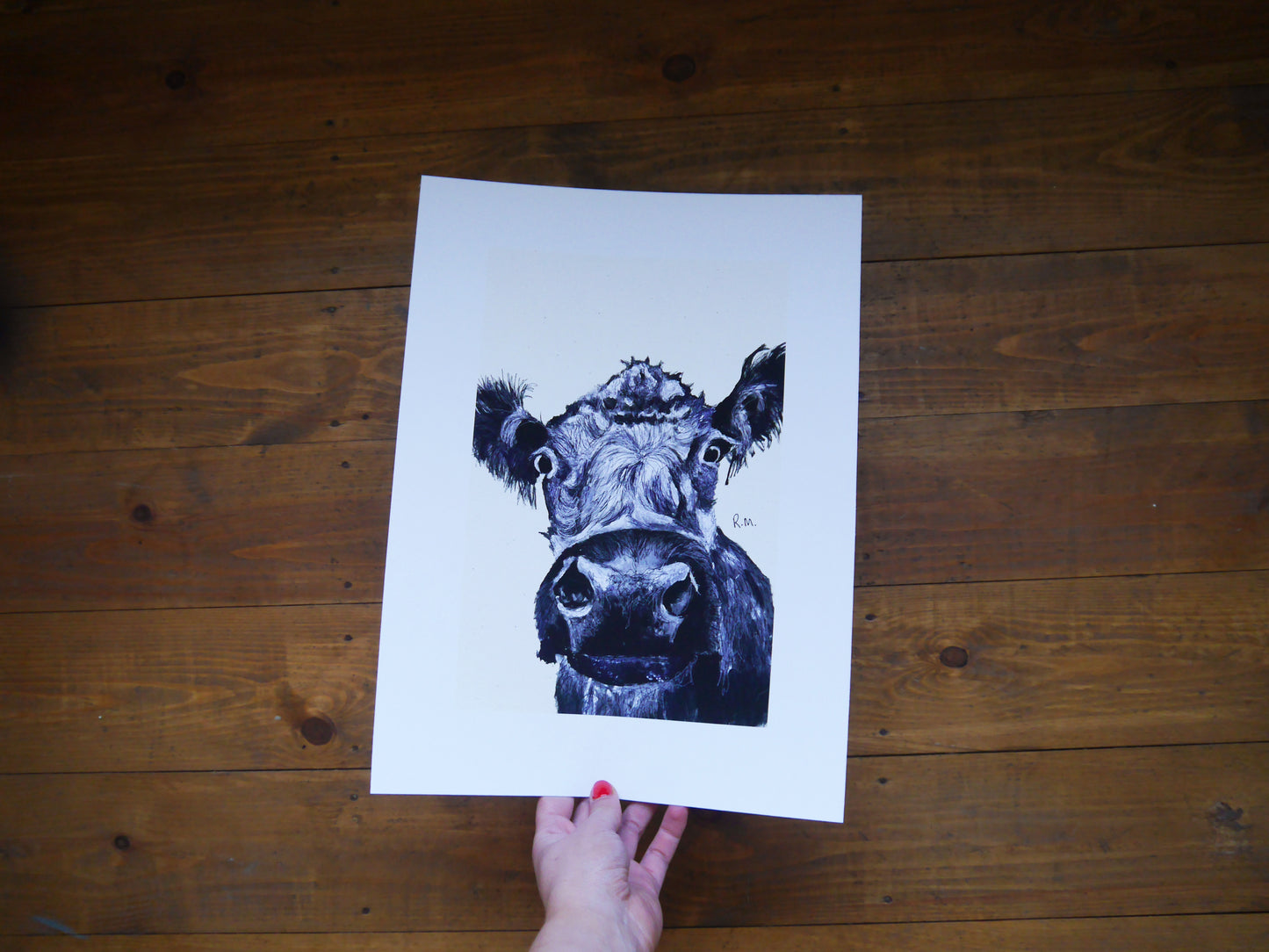 Cow Art Print