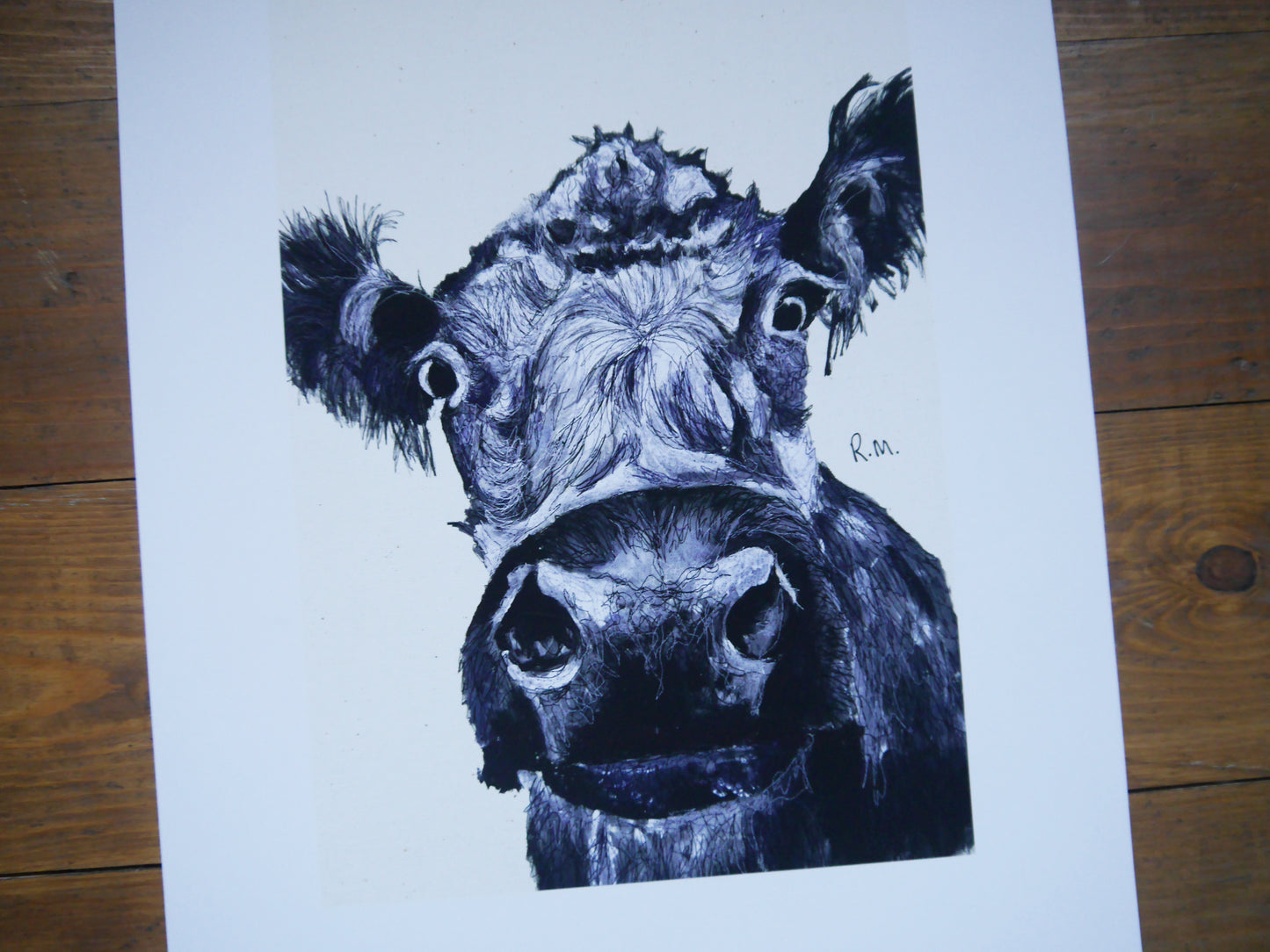 Cow Art Print