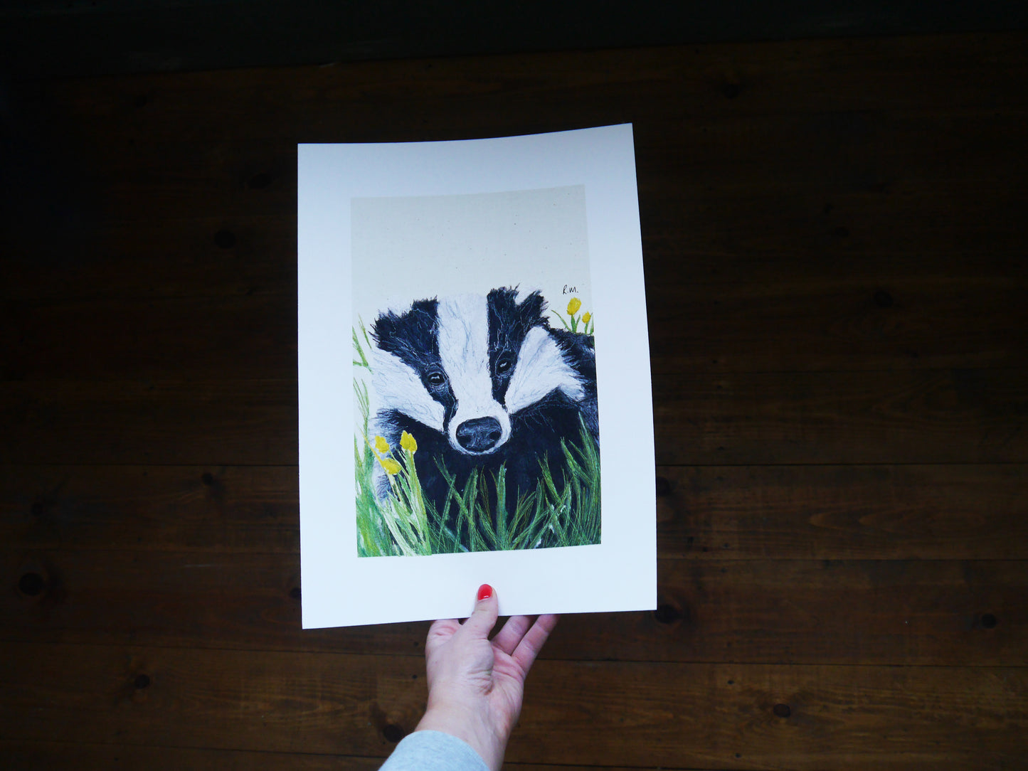 Badger Art Print