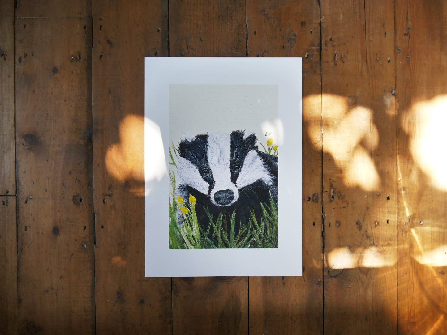 Badger Art Print