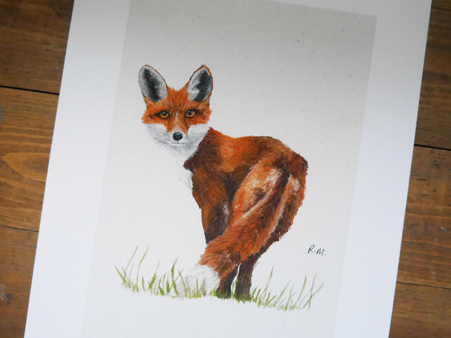 Fox Art Print