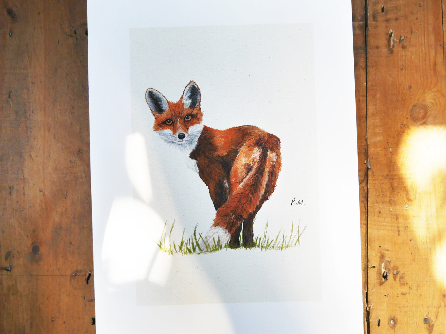 Fox Art Print