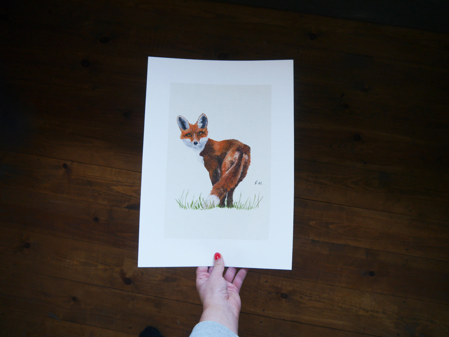 Fox Art Print