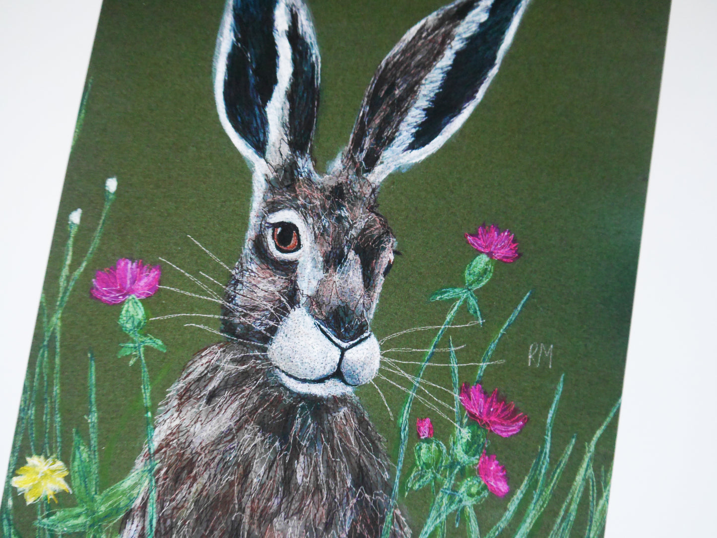 Hare Art Print