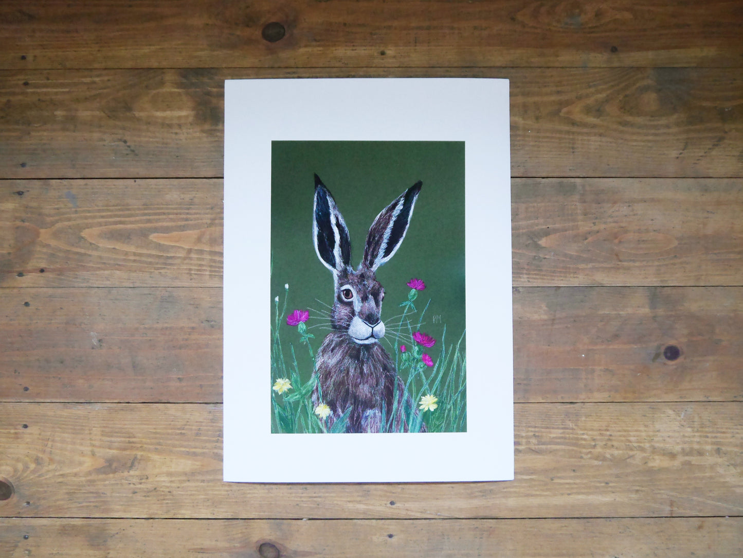 Hare Art Print