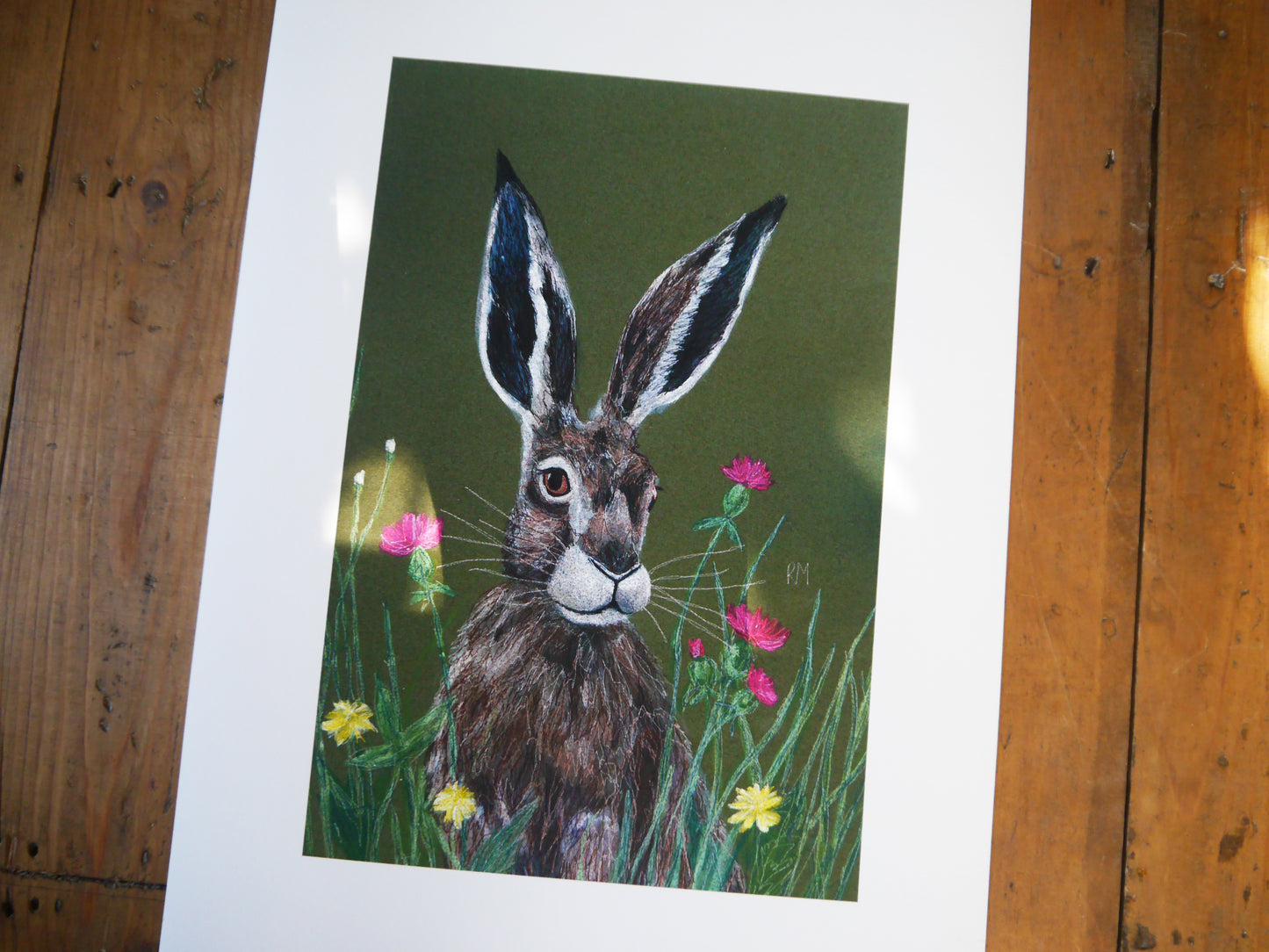 Hare Art Print