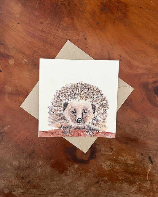 Hedgehog Greetings Card