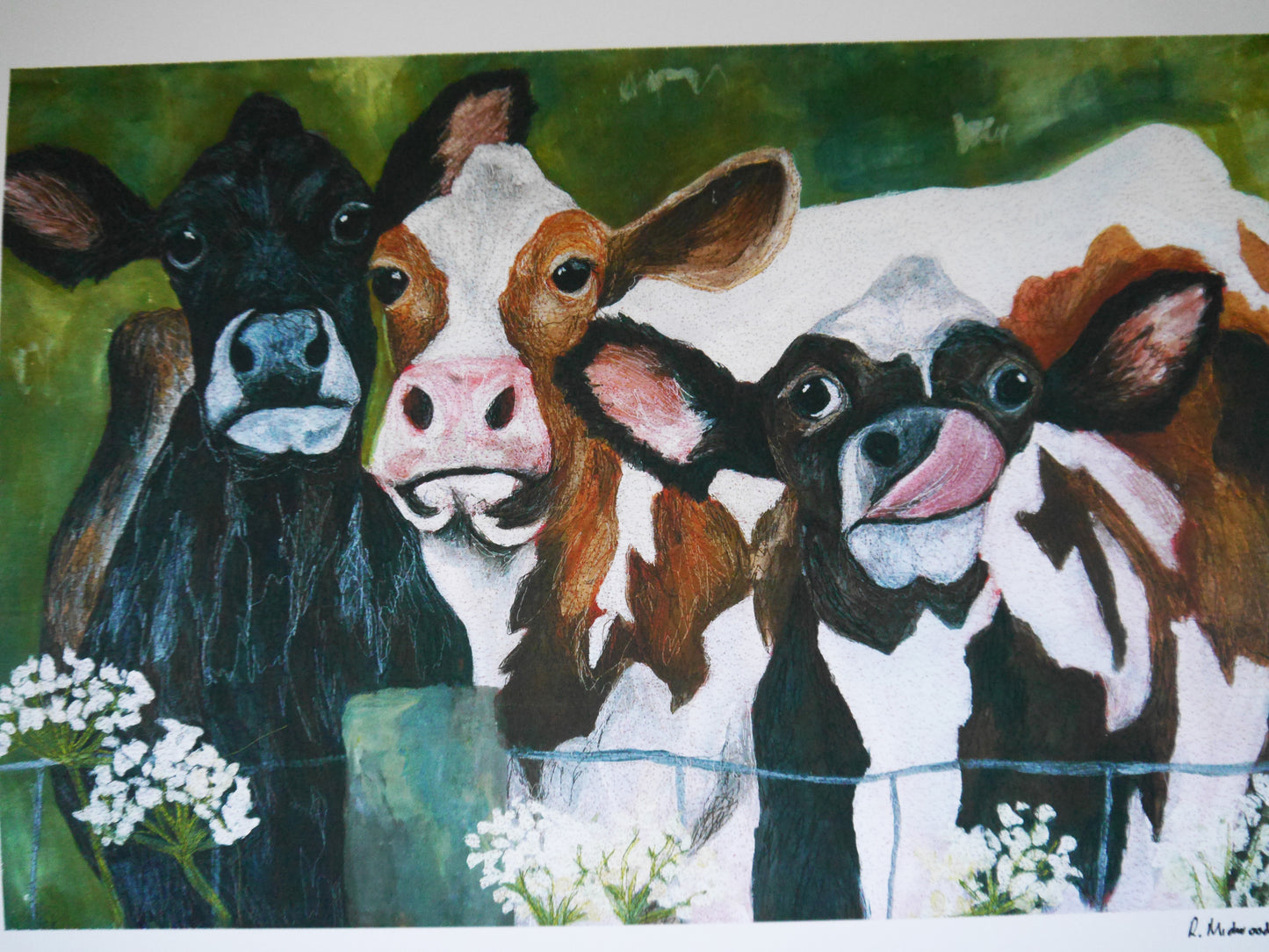 Cow Herd Art Print