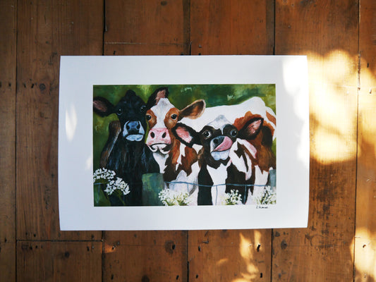 Cow Herd Art Print