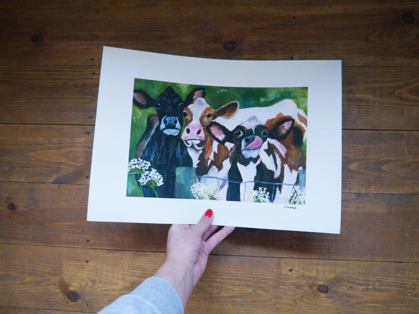 Cow Herd Art Print