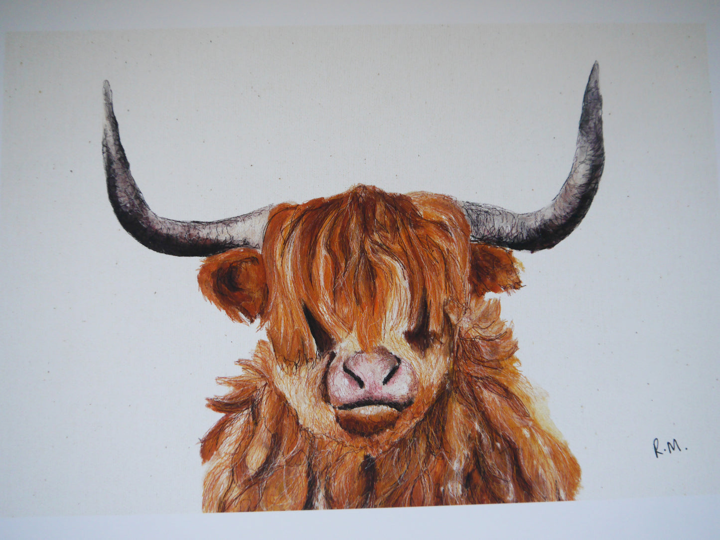 Highland Cow Art Print