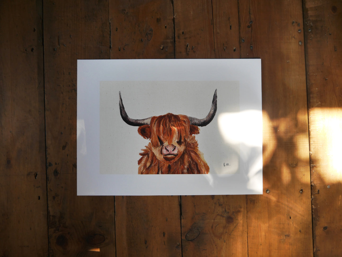 Highland Cow Art Print