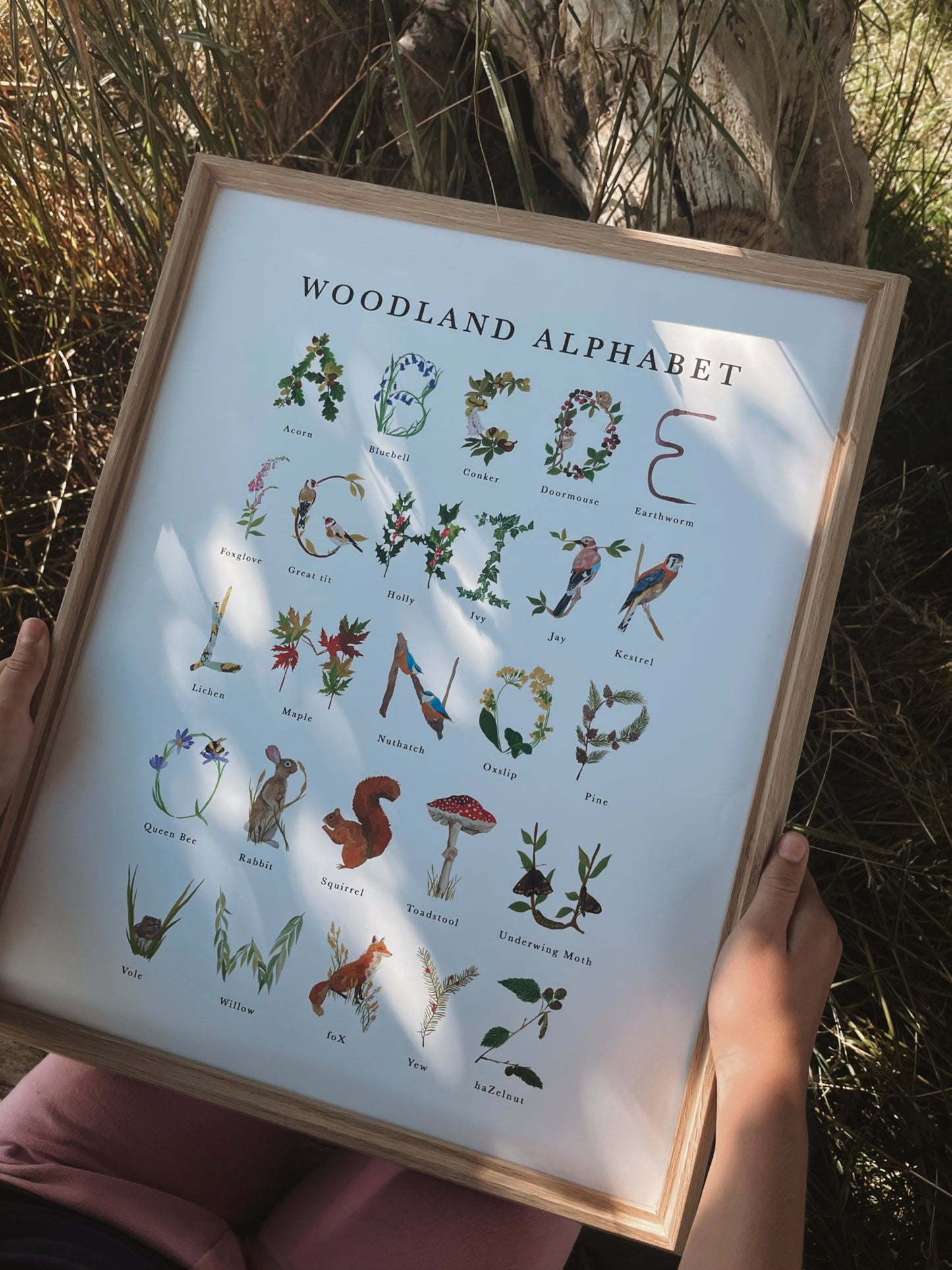 Woodland Alphabet Poster Print