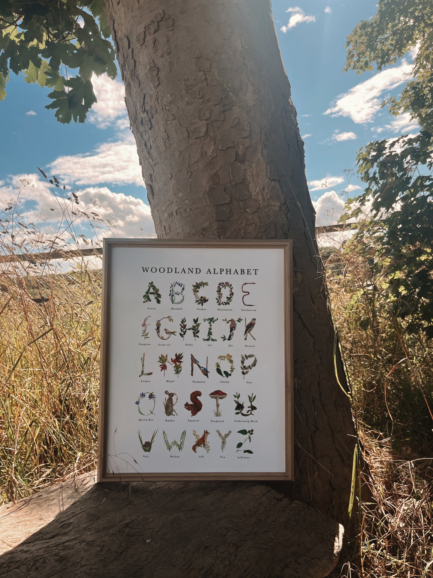 Woodland Alphabet Poster Print