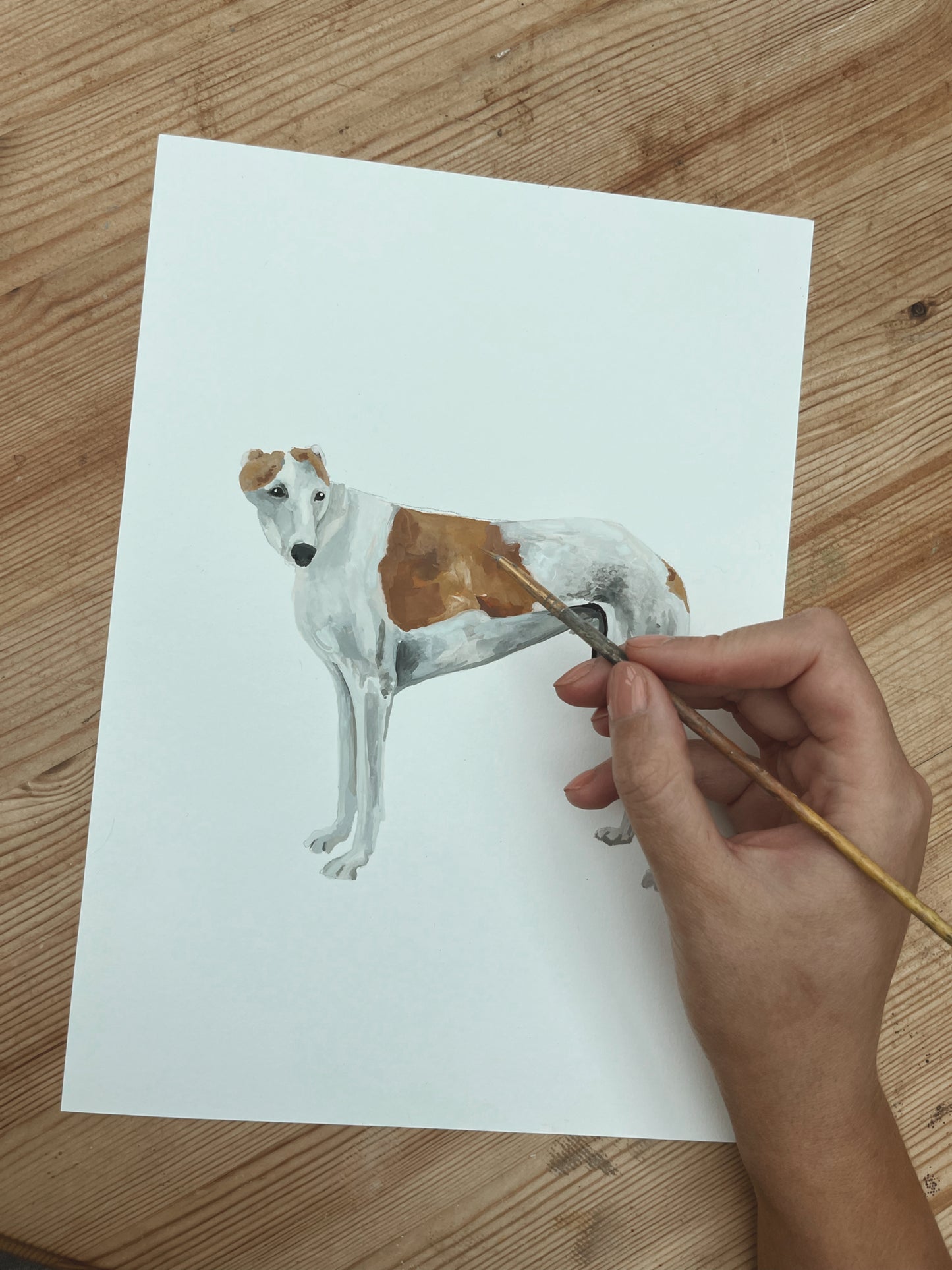 Custom Pet Portrait Painting Book Consultation