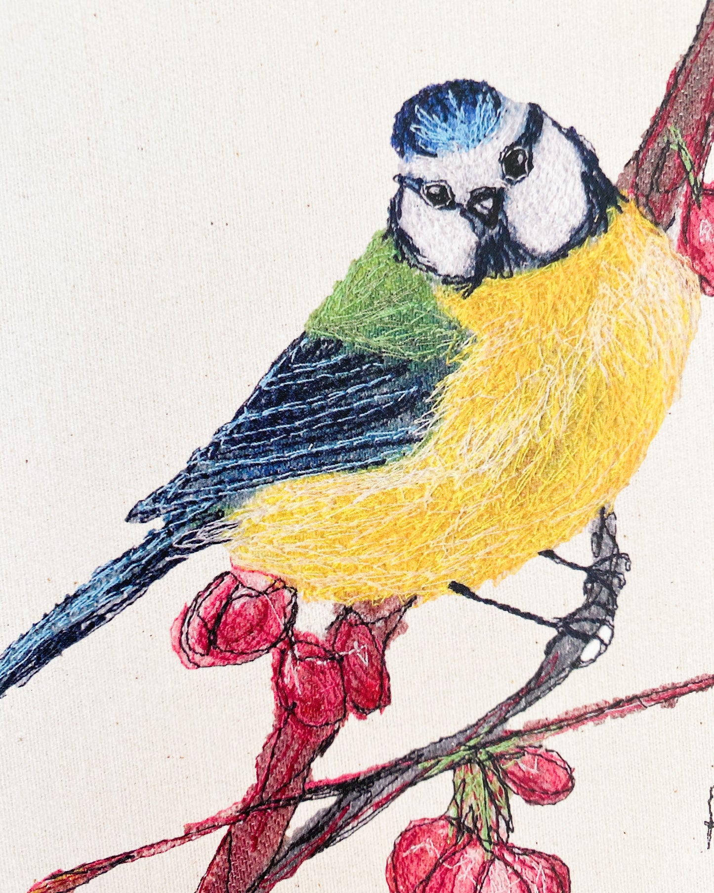 Bluetit on Blossom Greetings Card