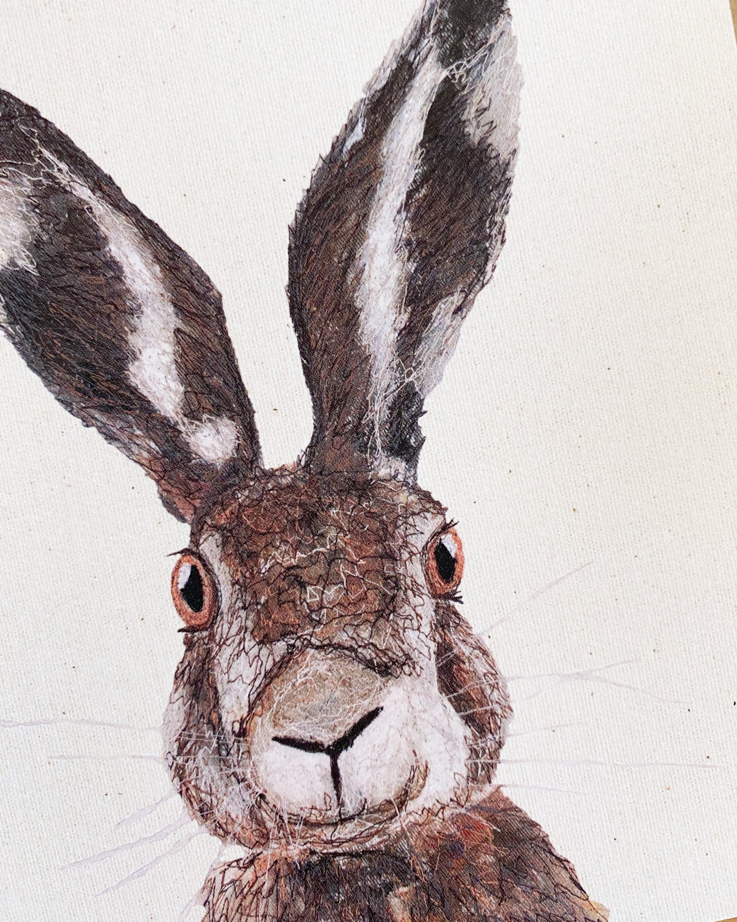 Hare Greetings Card