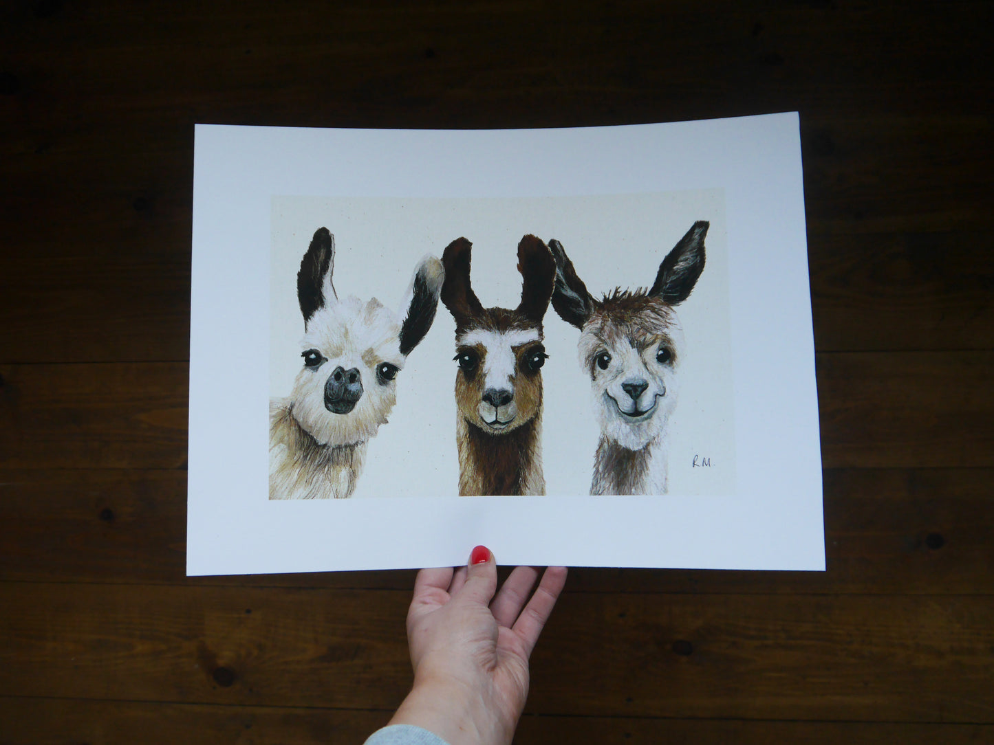 Llamas Art Print