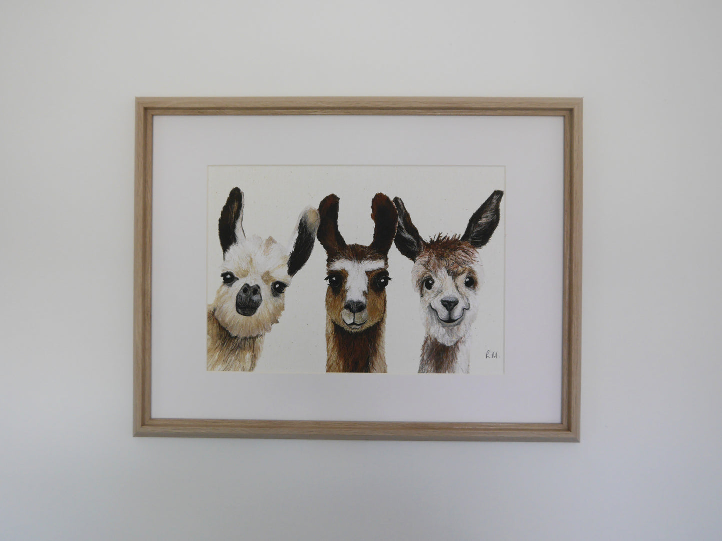 Llamas Art Print