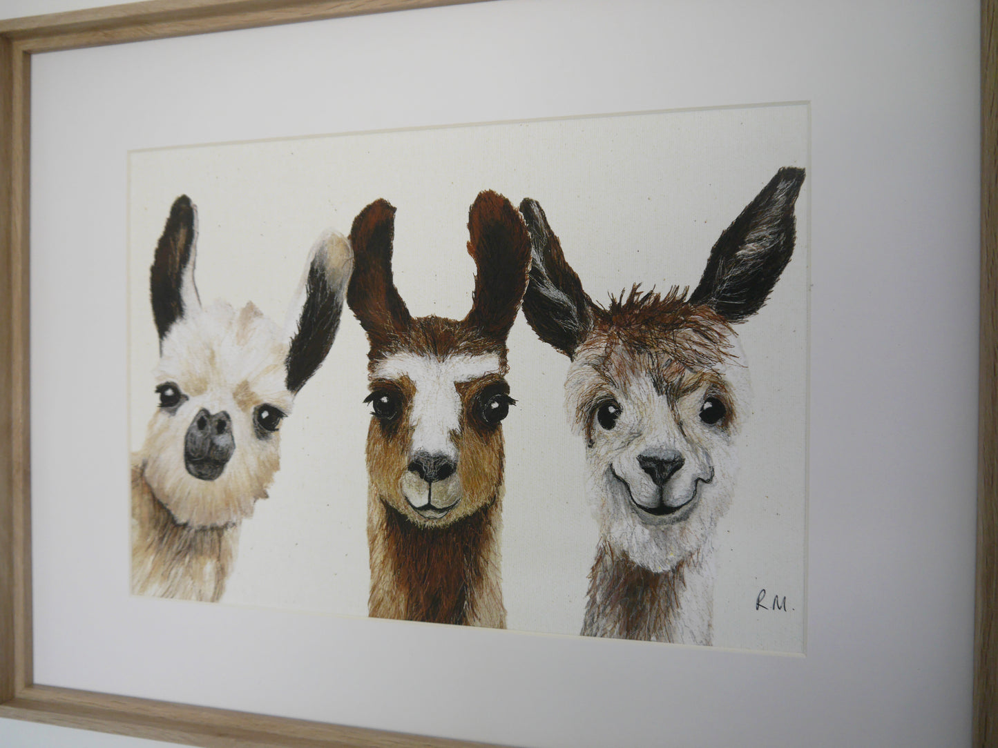 Llamas Art Print