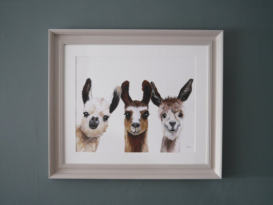 Large Llamas Print in Bespoke Painted Frame