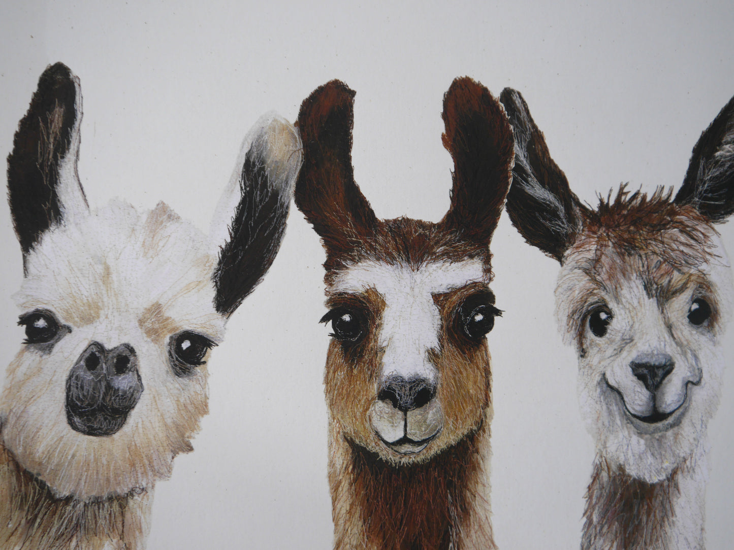 Large Llamas Print in Bespoke Painted Frame