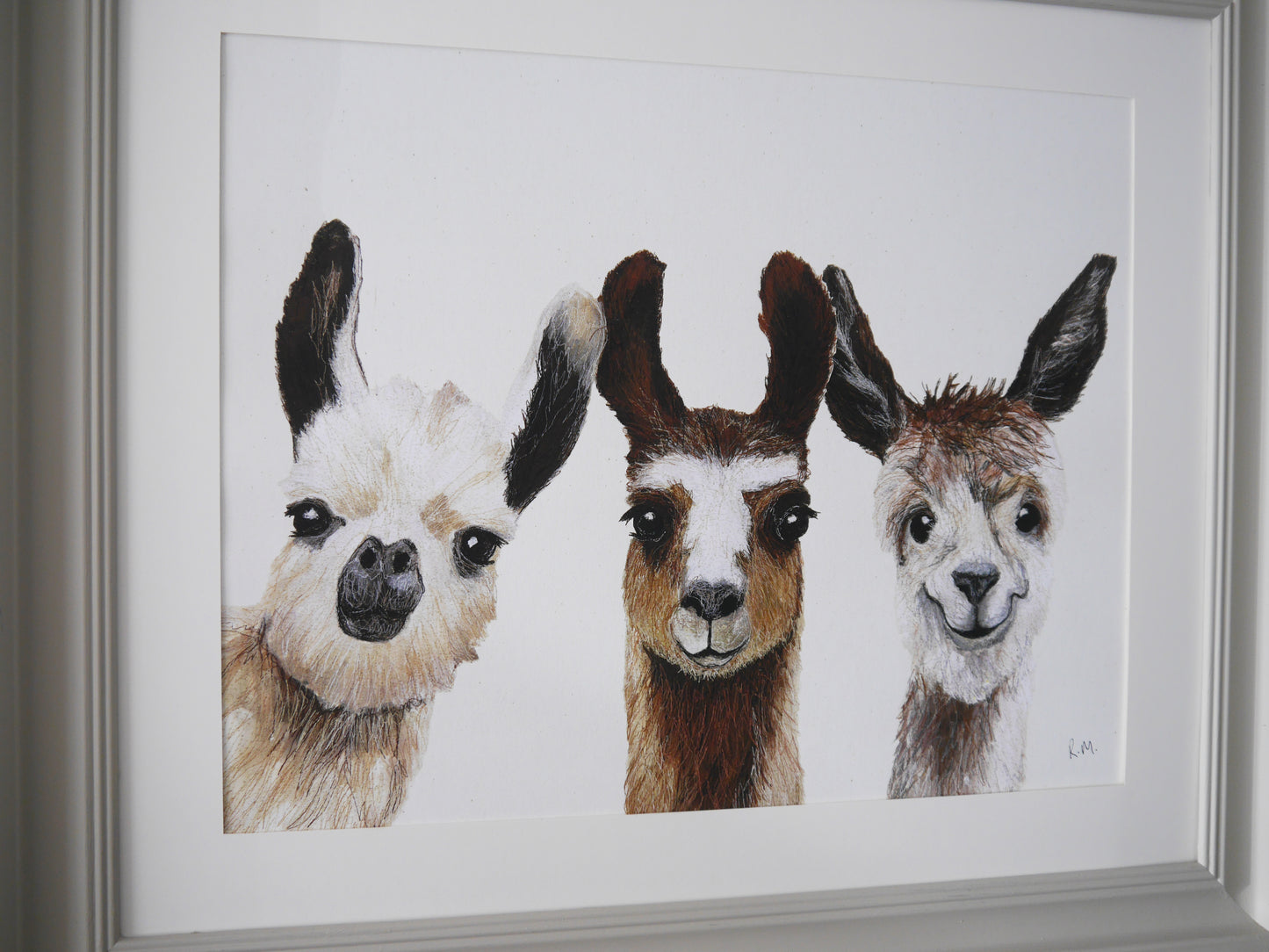 Large Llamas Print in Bespoke Painted Frame