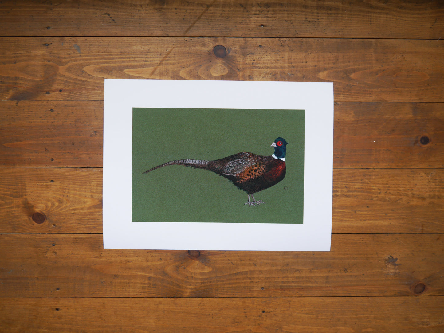 Pheasant Art Print