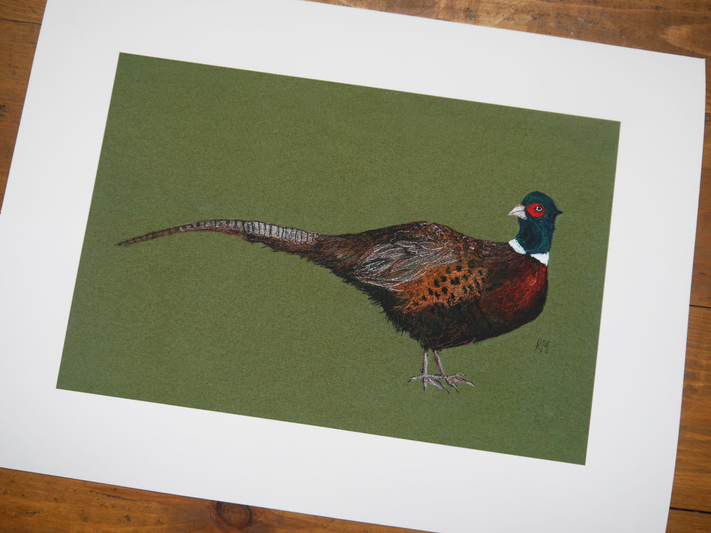 Pheasant Art Print