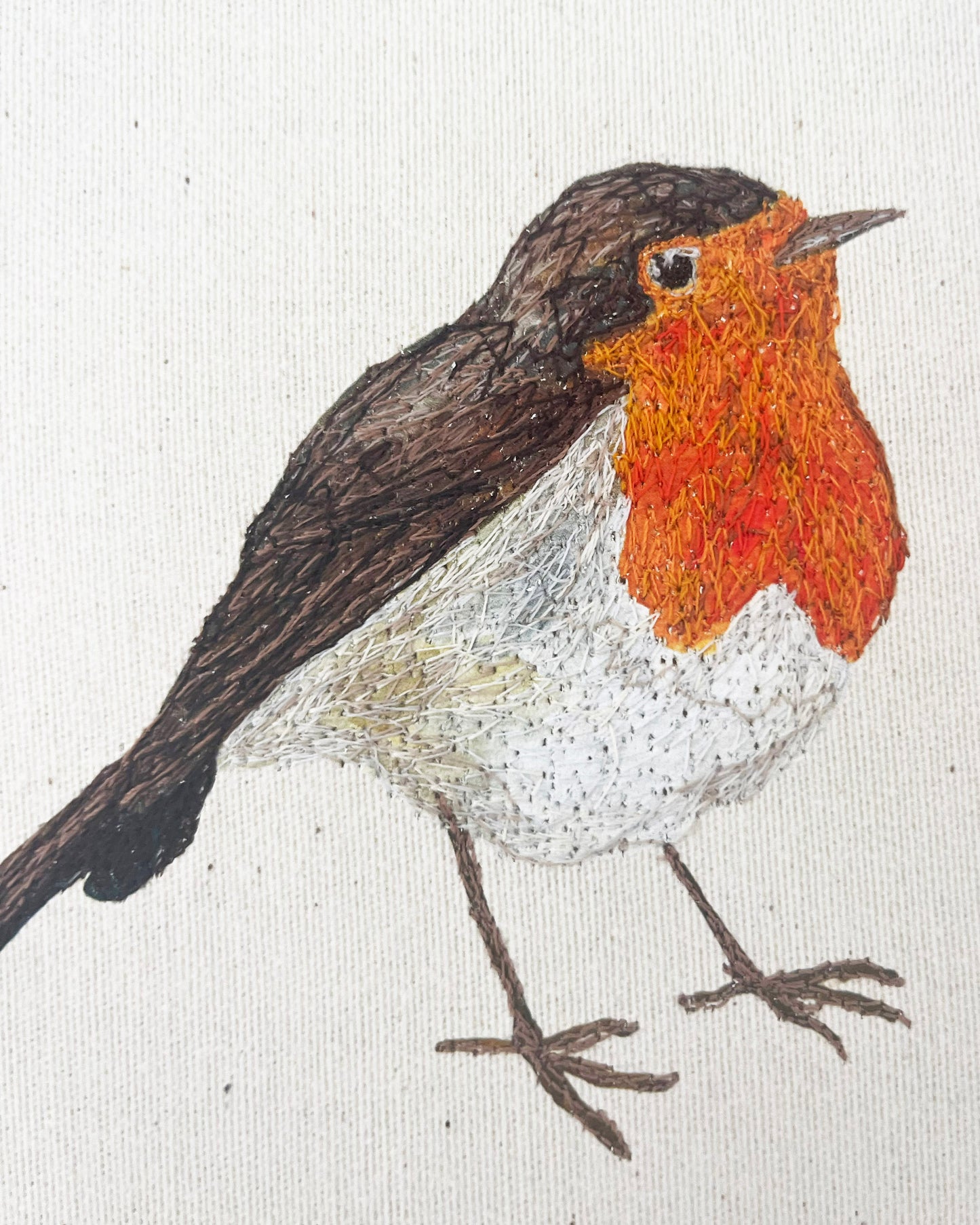 Robin Embroidery Hoop Picture