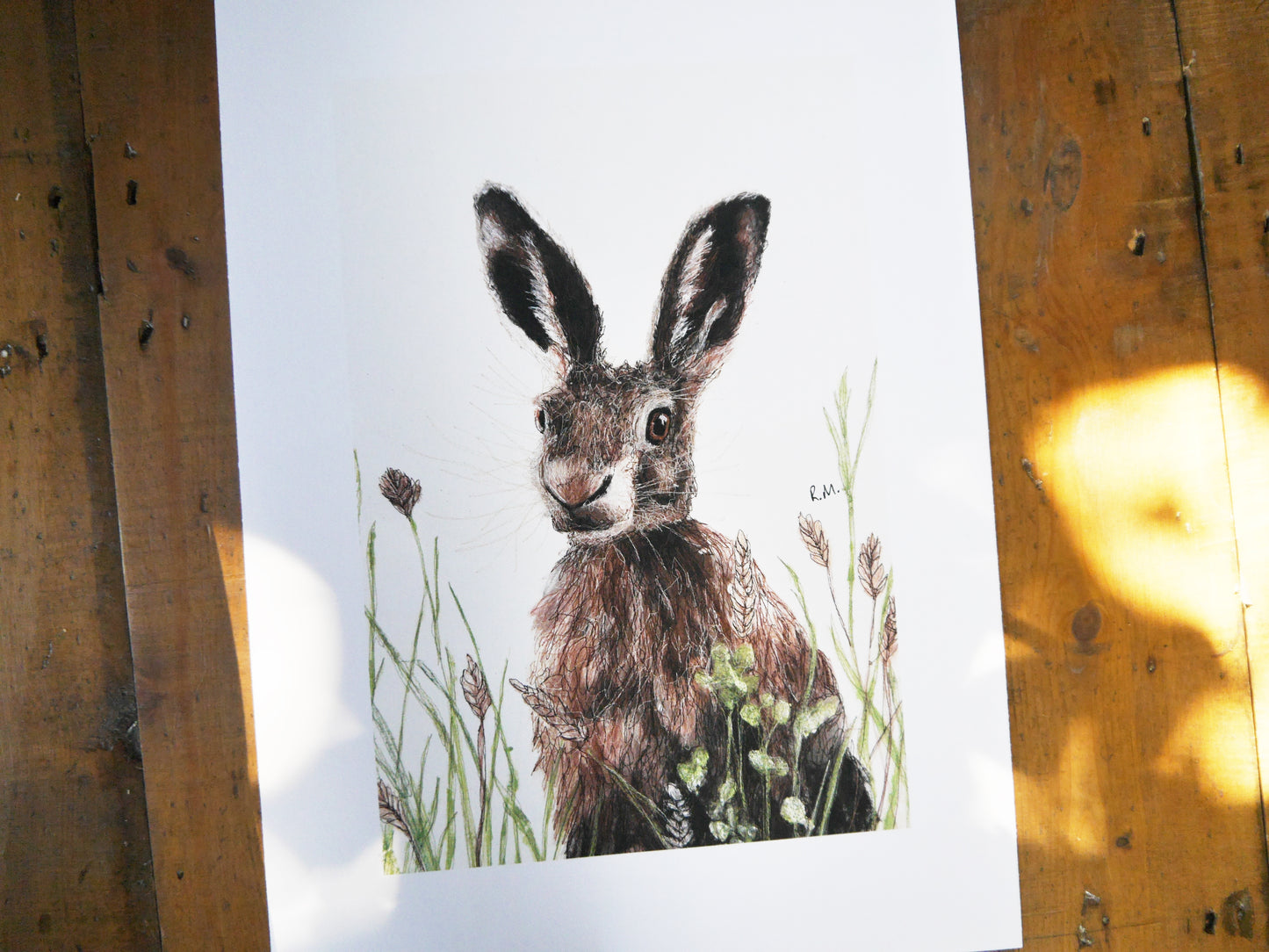 Hare in Meadow Art Print