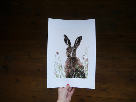 Hare in Meadow Art Print