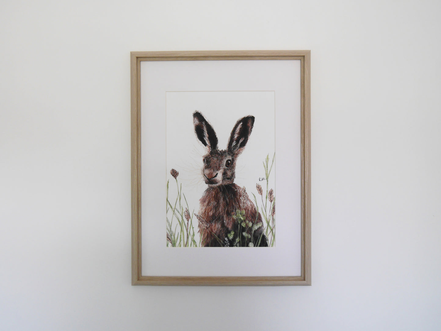 Hare in Meadow Art Print